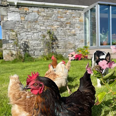 Апартаменты Shanakeever Farm - 3 Bedroom