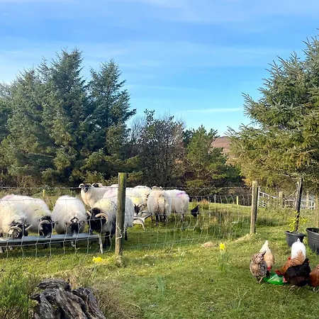 Shanakeever Farm - 3 Bedroom Apartman Clifden