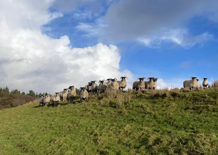 Апартаменты Shanakeever Farm - 3 Bedroom Клифден