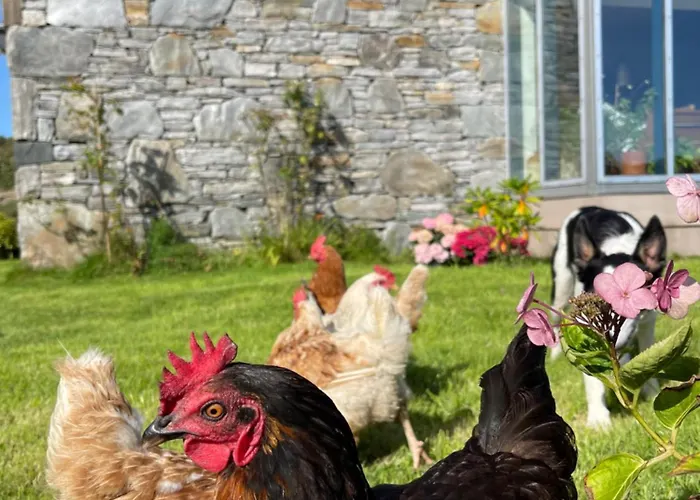 Апартаменты Shanakeever Farm - 3 Bedroom