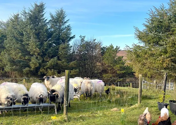 Shanakeever Farm - 3 Bedroom Apartment Clifden